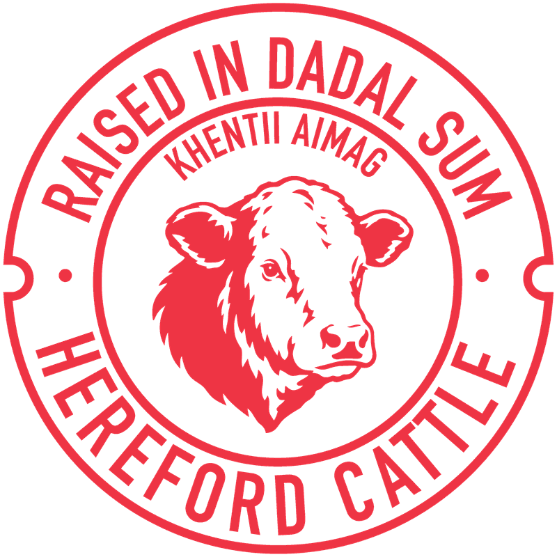 Raised in Dadal sum — Hereford cattle